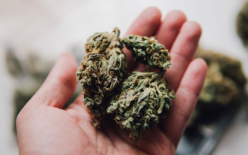Medical Marijuana Remains Tricky Workers’ Compensation Issue