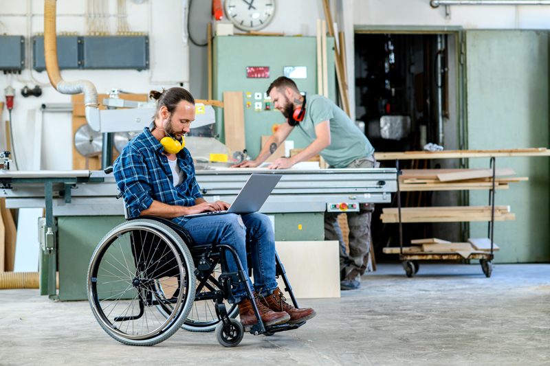 Disability Pride: Life and Work
